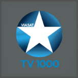 ТВ 1000 смотреть онлайн прямой эфир бесплатно